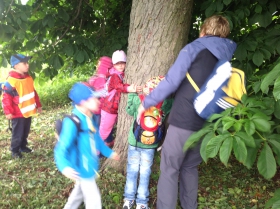 Kolik dětí obejme tento strom?