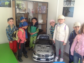 Policejní model.
