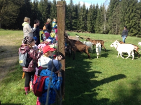 Uvítání na farmě.